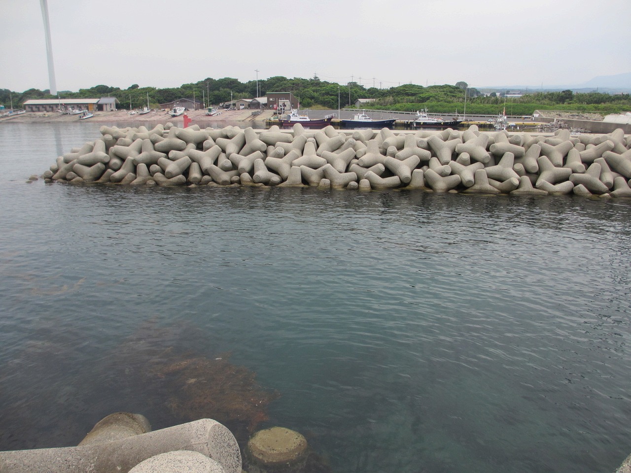 鳥取県,海釣り,ポイント,逢坂港